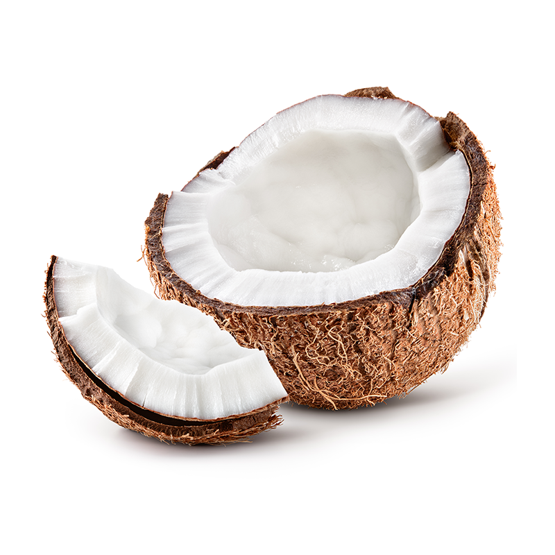 Coconut.png